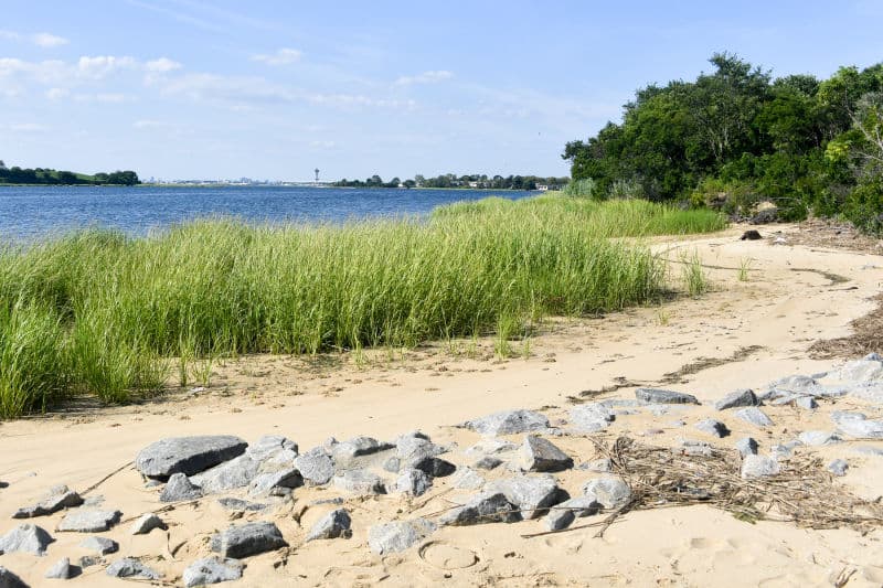 Bayswater Park tennis courts 3