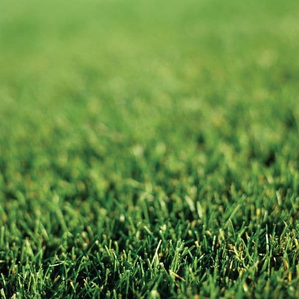 Rockaway Community Park tennis courts